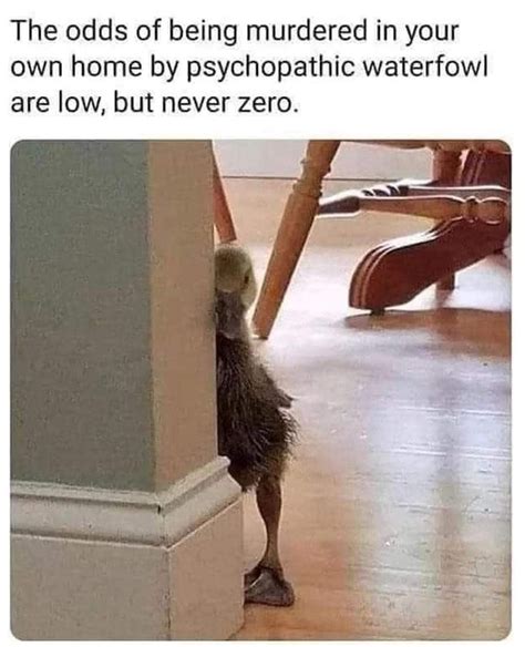 The chance is low but never zero. .